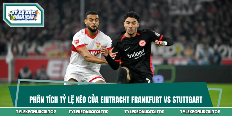 Phân tích tỷ lệ kèo của Eintracht Frankfurt vs Stuttgart
