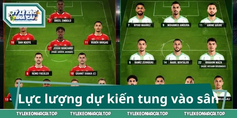 Lực lượng dự kiến được tung vào sân