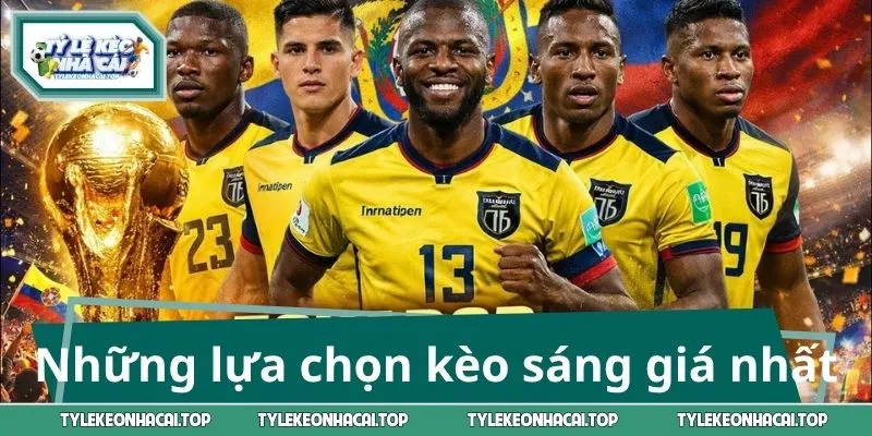 Tham khảo những lựa chọn kèo sáng giá nhất